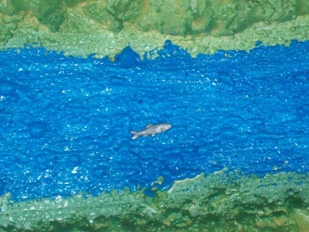100_4016.jpg